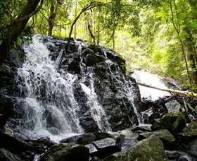 Bellthorpe Stays - Nature's Retreat - Hobart Tourism 1