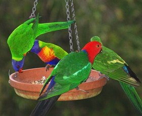 Bellthorpe Stays - Nature's Retreat - Hobart Tourism 3