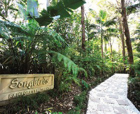 Songbirds Rainforest Retreat - Hobart Tourism 0
