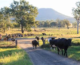 Kerry QLD Tourism TAS