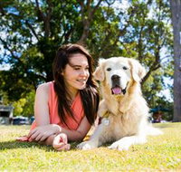 Jacobs Well Tourist Park