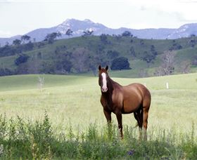 Marchioness Farmstay - Tourism TAS 1