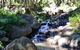 Wongari Eco Retreat - thumb 3