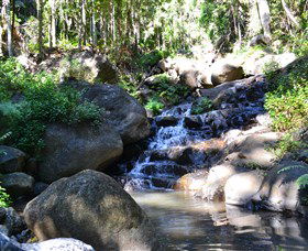 Wongari Eco Retreat - Hobart Tourism 3