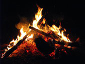 Corroboree Park Tavern - Tourism TAS 13