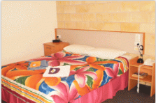 A Country View Motel - Tourism TAS 9