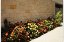 A Country View Motel - Tourism TAS 11