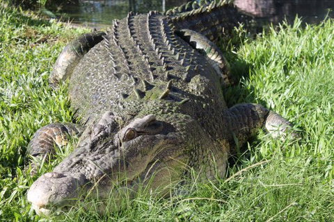 Corroboree Park Tavern - Tourism TAS 7