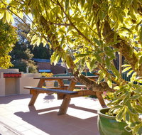 Best Western Alpine Motor Inn - Tourism TAS