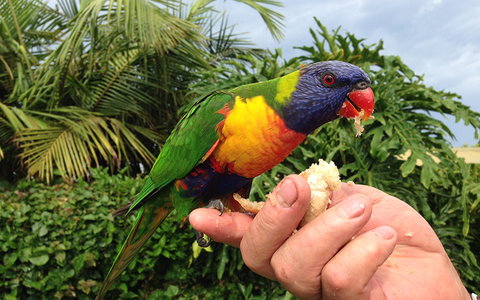 BEST WESTERN Sea Spray Motel - Tourism TAS 18