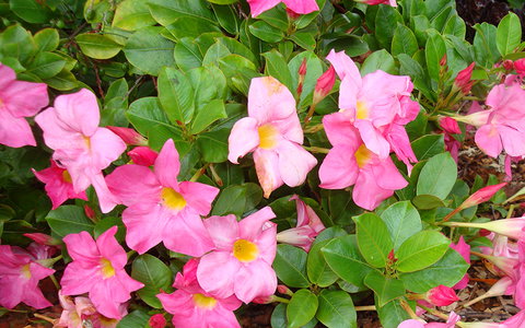 BEST WESTERN Sea Spray Motel - Tourism TAS 22