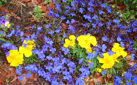 BEST WESTERN Sea Spray Motel - Tourism TAS 25