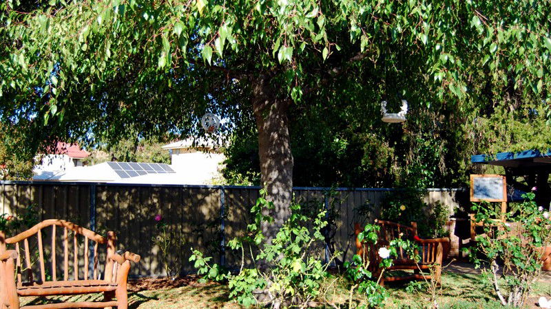 Barigan ACT Hobart Tourism