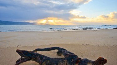 Best Western Apollo Bay Motel And Apartments - Tourism TAS 7