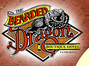 The Bearded Dragon Hotel - Hobart Tourism 0