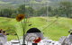 Tranquil Park Mountain Resort - thumb 1