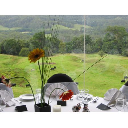 Tranquil Park Mountain Resort - Tourism TAS 1