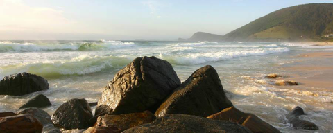 Pacific Palms Signature Properties - Tourism TAS 13