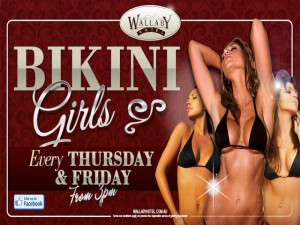 Wallaby Hotel - Tourism TAS 13