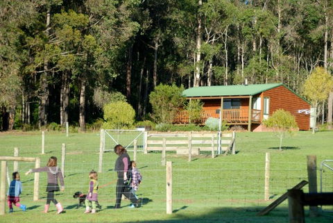 Diamond Forest Cottages Farmstay - Tourism TAS 0