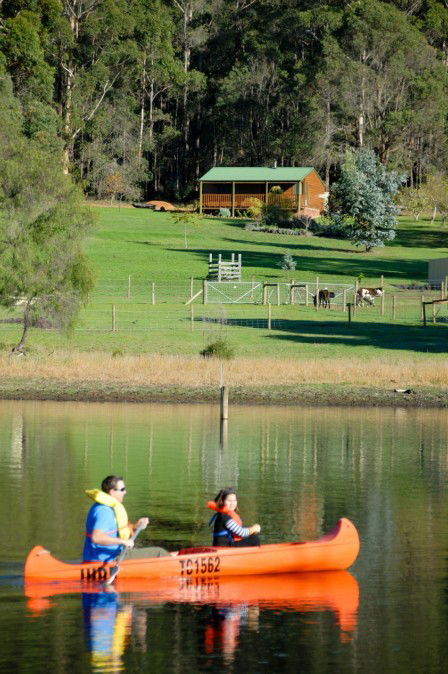 Diamond Forest Cottages Farmstay - Tourism TAS 2
