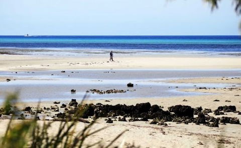 Halcyon Bay - Tourism TAS 5