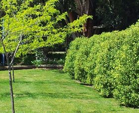 White Beach Tourist Park - Tourism TAS 3