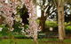 Beauty Point Cottages - thumb 2
