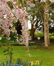 Beauty Point Cottages - Tourism TAS 2