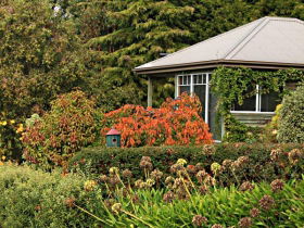 Beauty Point Cottages - Tourism TAS 3
