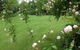 Beauty Point Cottages - thumb 6