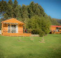Maydena Country Cabins Accommodation  Alpaca Stud
