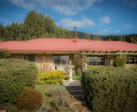 Maydena Country Cabins Accommodation & Alpaca Stud - Tourism TAS 2