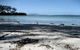Saltwater River Convict Beach House - thumb 0
