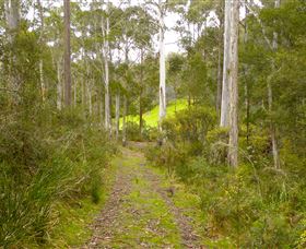 Huon Valley Eco Wilderness Retreat - Tourism TAS 5