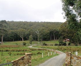 Adventure Bay Retreat Accommodation - Tourism TAS 2