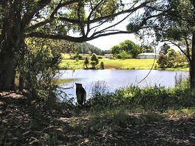 Lapoinya TAS Hobart Tourism