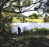 Newry Park Cottage - Hobart Tourism
