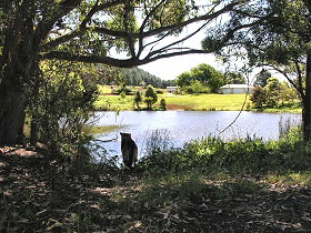 Newry Park Cottage - Tourism TAS 0
