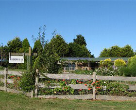 Blueberry B & B - Tourism TAS 1