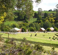 Tin Dragon Trail Cottages