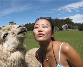 Tin Dragon Trail Cottages - Tourism TAS 4