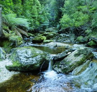Tarkine Wilderness Experience at Corinna - Tourism TAS