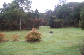 Macquarie Heads Camping Ground - Tourism TAS 1
