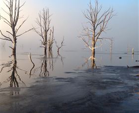 Arthurs Lake TAS Tourism TAS