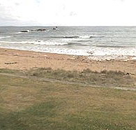 Penguin Caravan Park - Tourism TAS