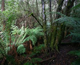 Silver Ridge Retreat - Tourism TAS 4