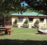 Springfield Deer Farm