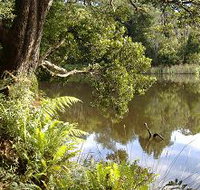 Weldborough Camping Ground - Tourism TAS