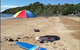 Sandpiper Motel - thumb 10